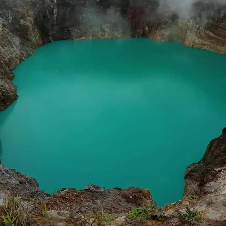 Wisma Kelimutu Енде Екстер'єр фото